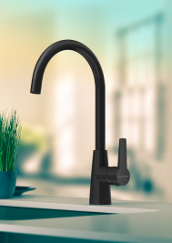 Смеситель для кухни PAULMARK Holstein Ho212065-401